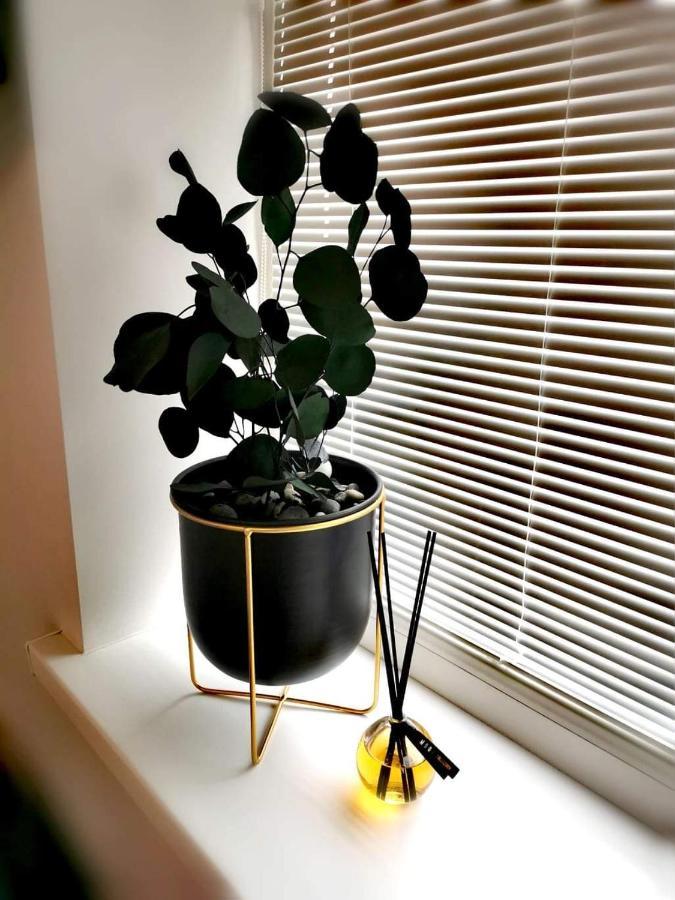 Vyturiai - Nauju Apartamentu Nuoma Sventojoje Швентої Екстер'єр фото